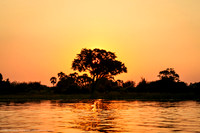 Botswana Glow, Botswana